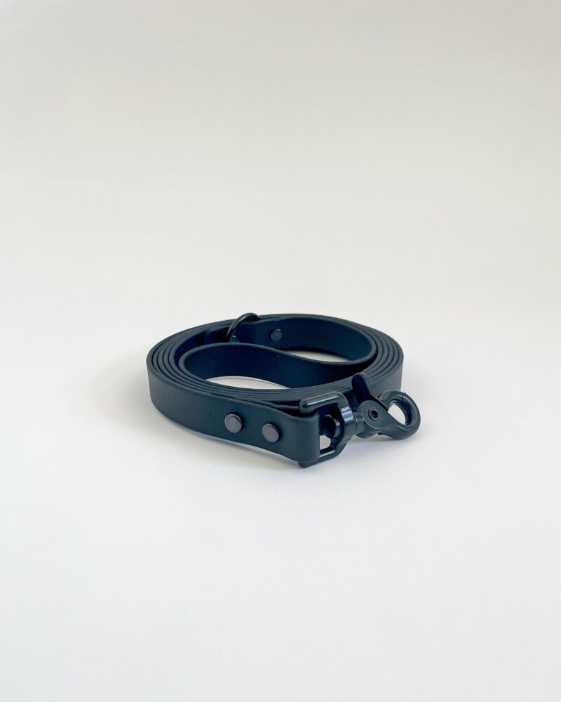 Classic Leash - Image 5