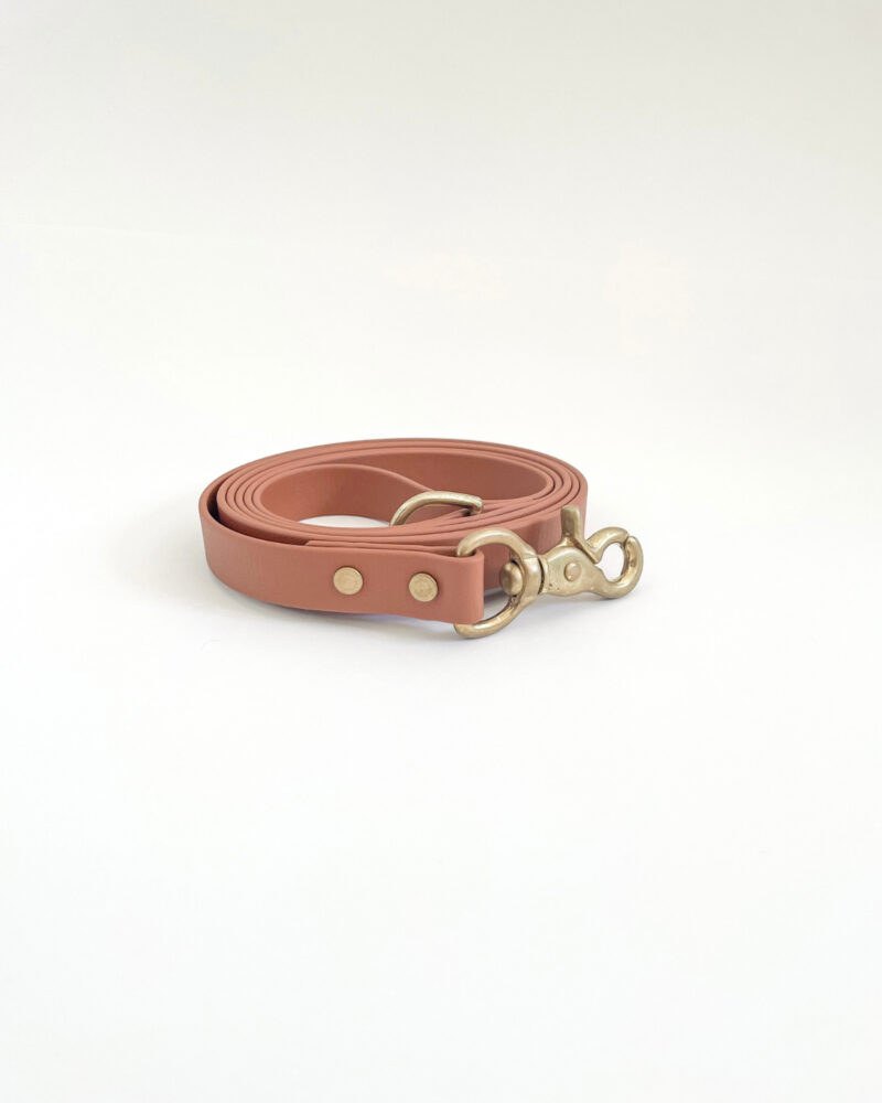 Classic Leash