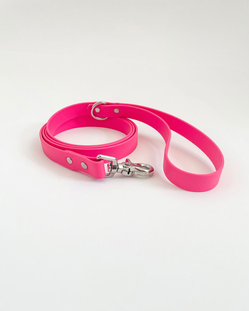 Classic Leash - Image 12