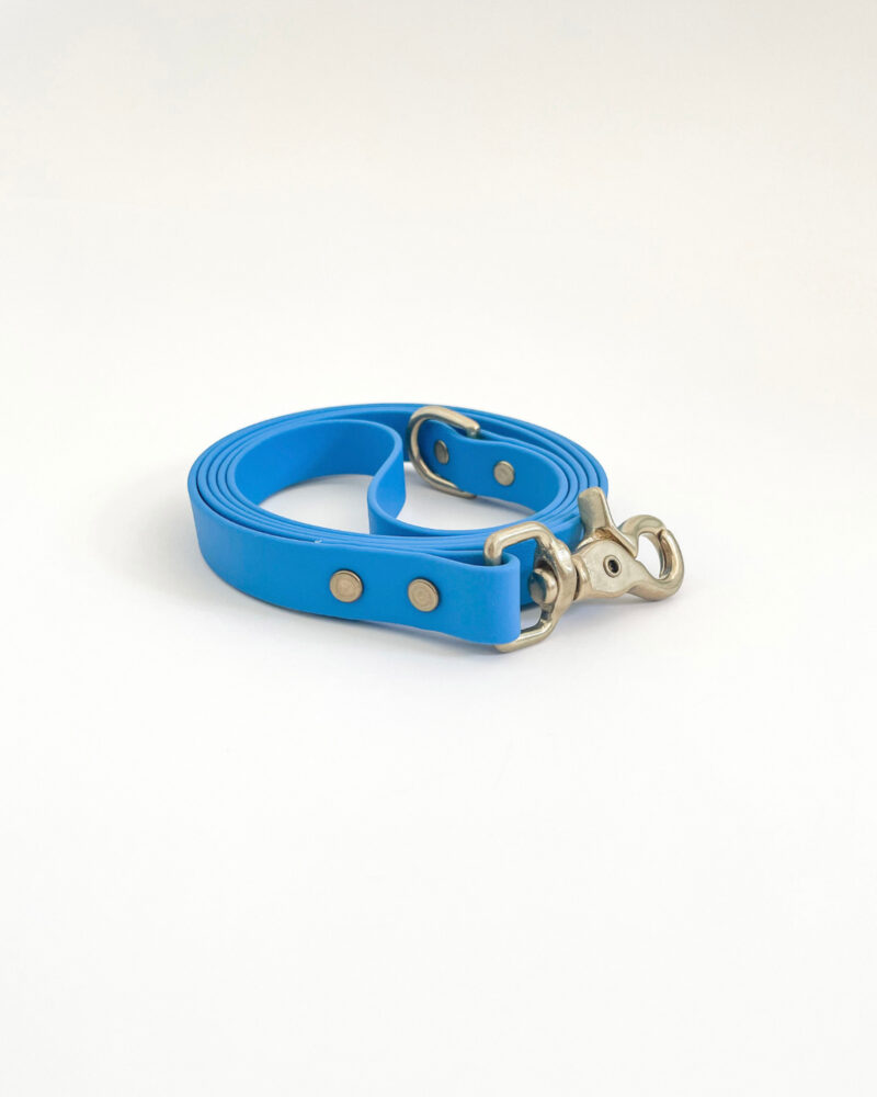 Classic Leash - Image 7