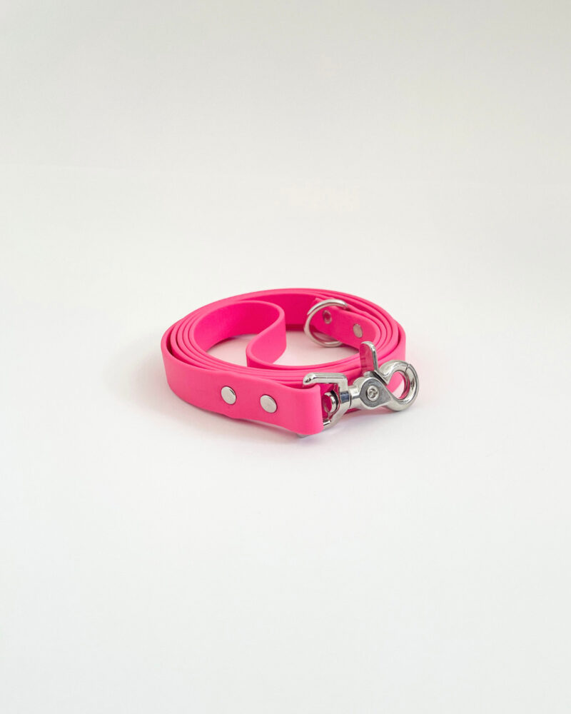 Classic Leash - Image 11
