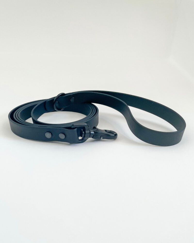 Classic Leash - Image 6