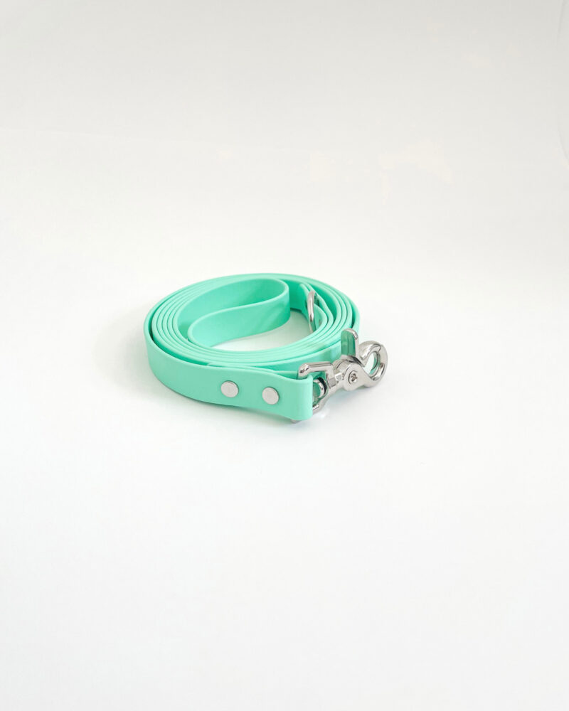 Classic Leash - Image 9