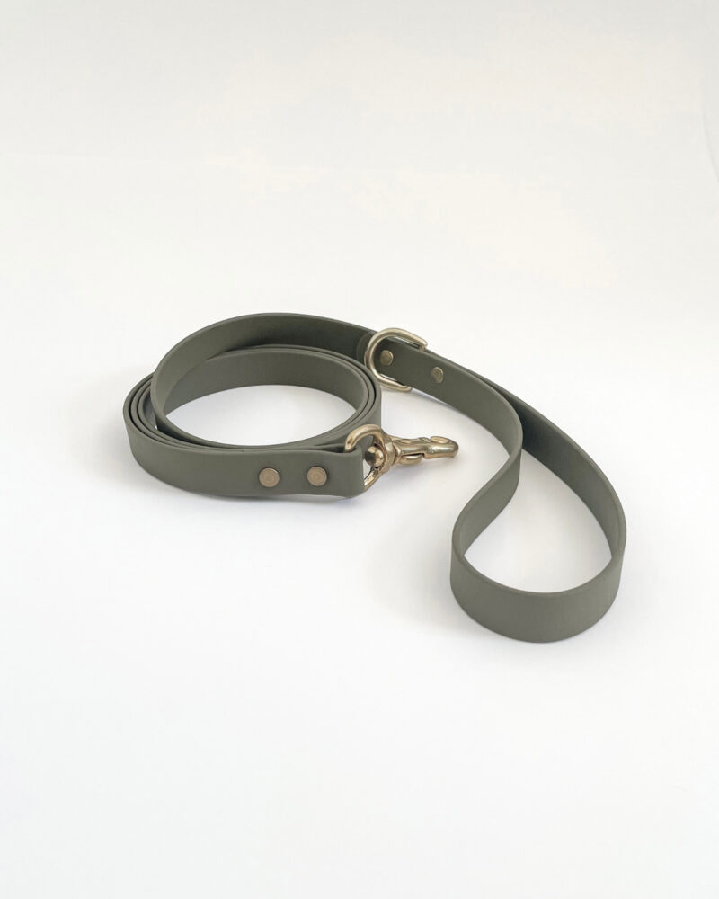 Classic Leash - Image 4