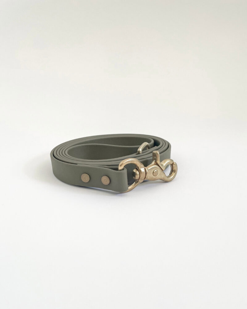 Classic Leash - Image 3