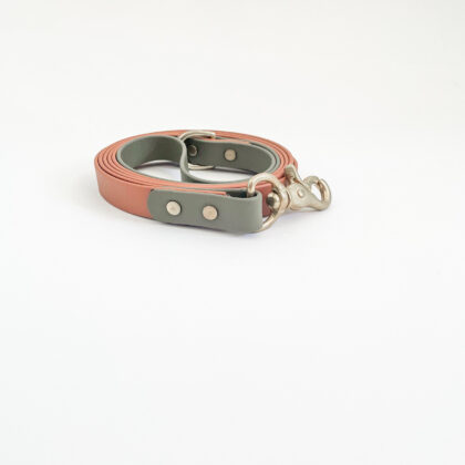 Two Tone Classic Leash
