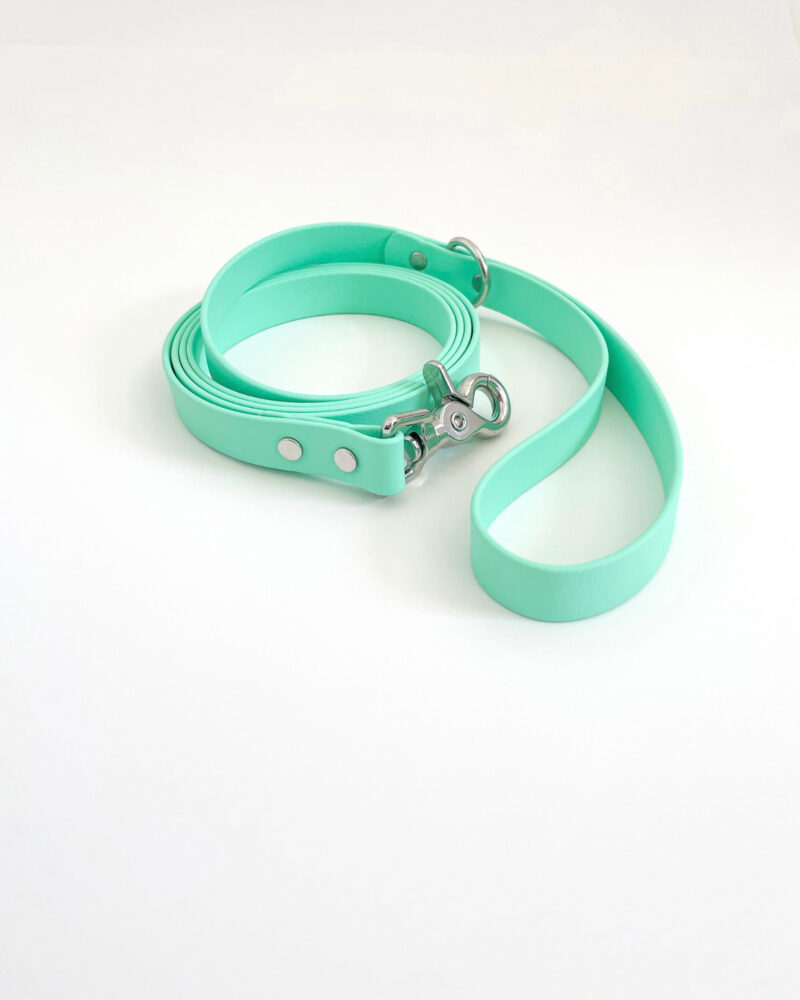 Classic Leash - Image 10