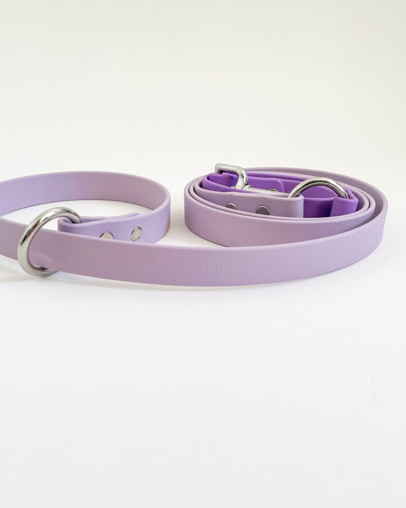 2-in-1 Slip Lead