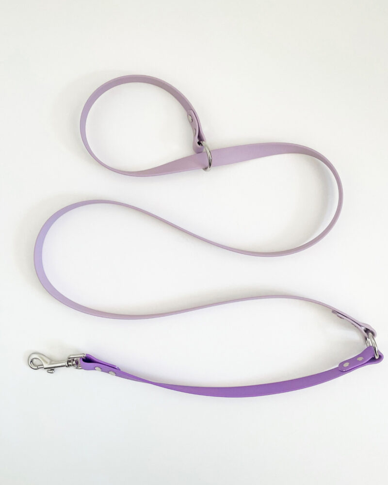 2-in-1 Slip Lead - Image 4