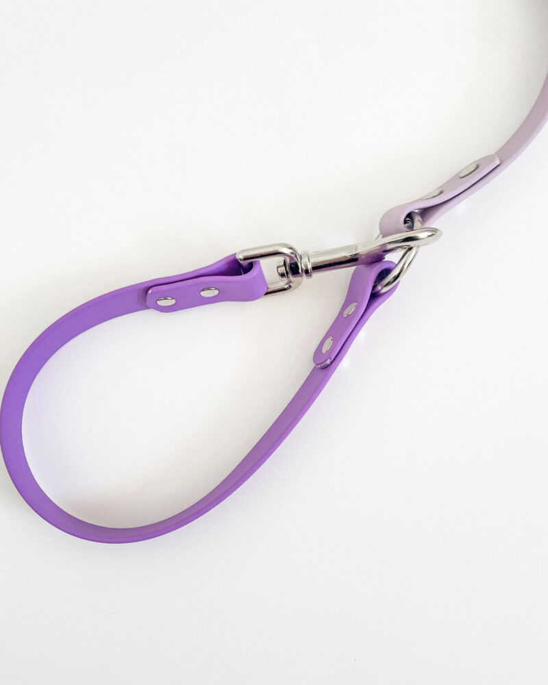 2-in-1 Slip Lead - Image 3