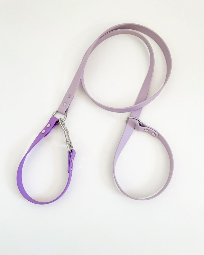 2-in-1 Slip Lead - Image 2