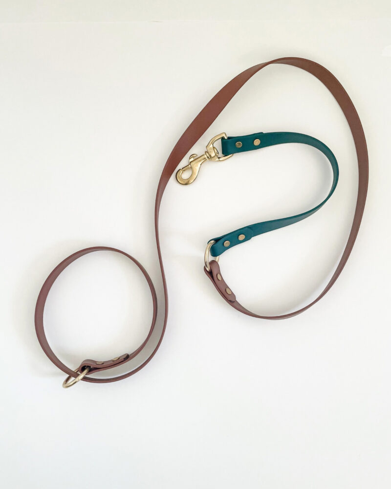 2-in-1 Slip Lead - Image 5