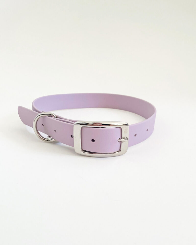 Classic Collar - Image 2