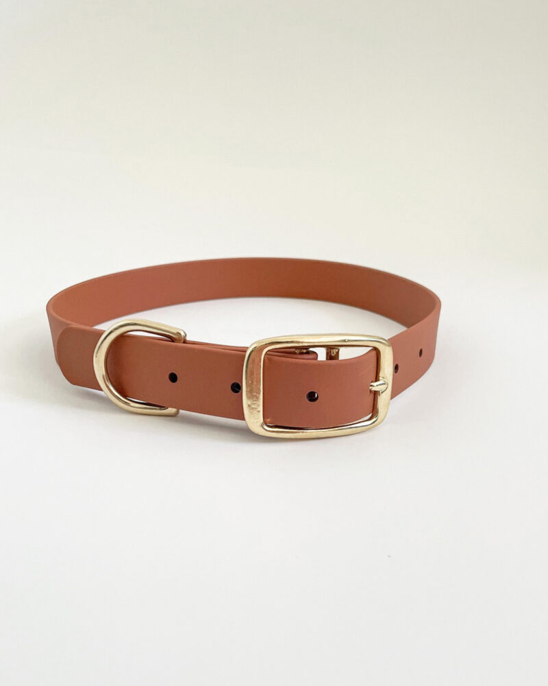 Classic Collar