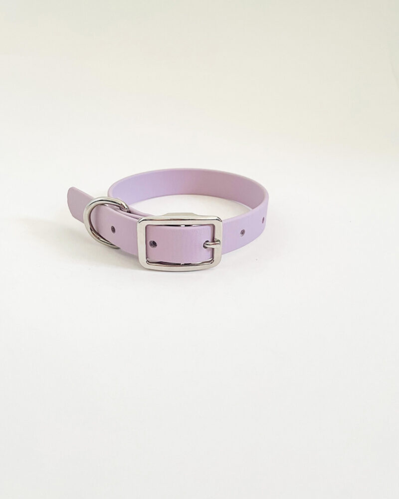 Classic Collar - Image 7
