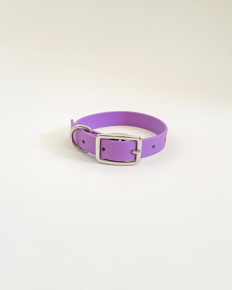 Classic Collar - Image 6