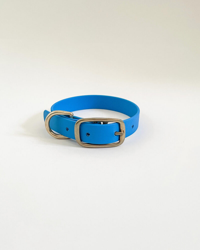 Classic Collar - Image 4