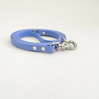 Thin Classic Leash