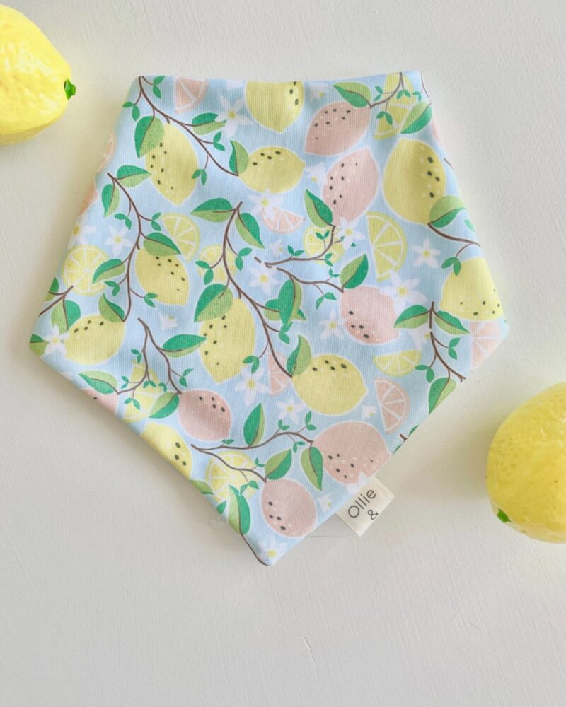 Lemon Bloom