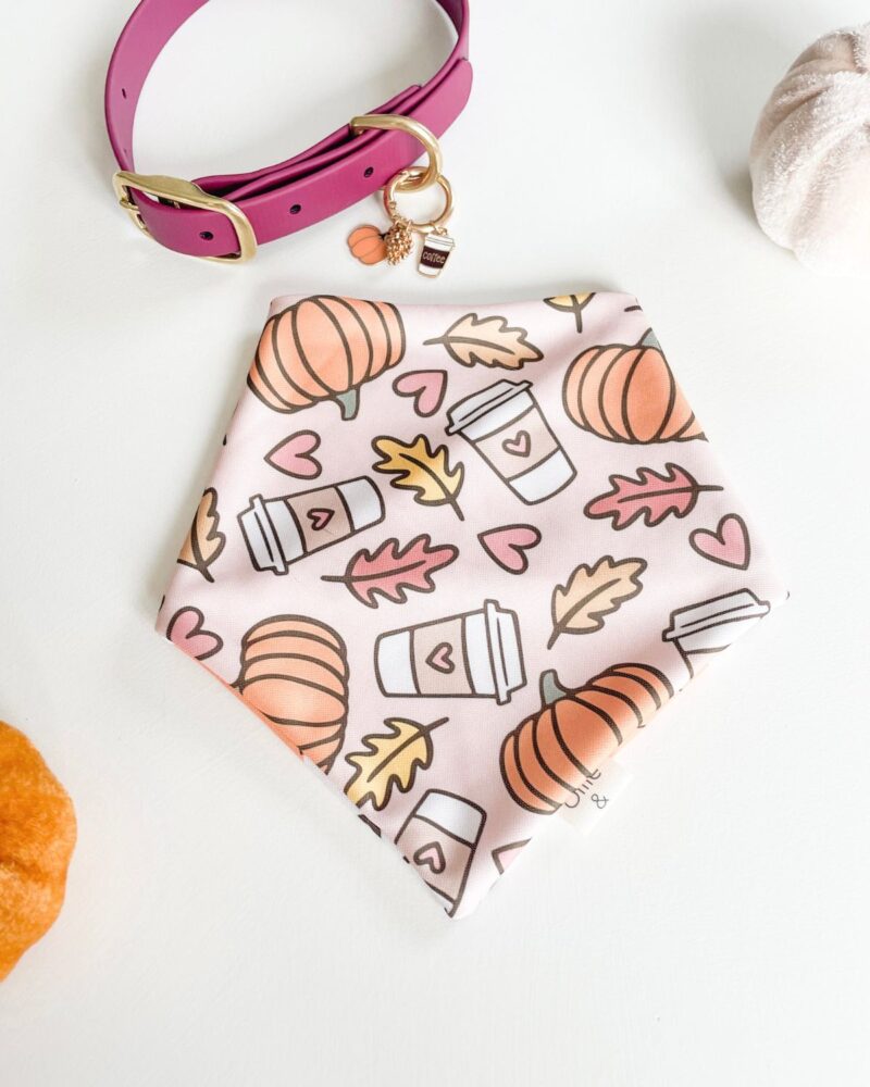 Pumpkin Spice Latte Love - Image 2