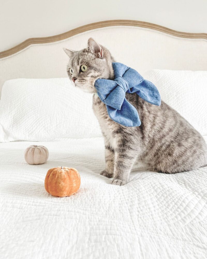 Denim Bow - Image 5